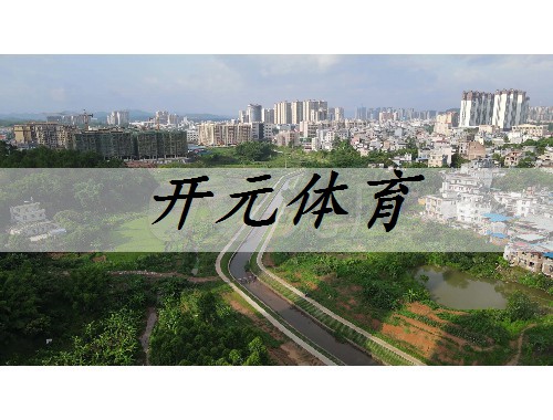 芜湖九华北路绿化工程