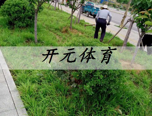 深圳市绿色阳光园林绿化工程