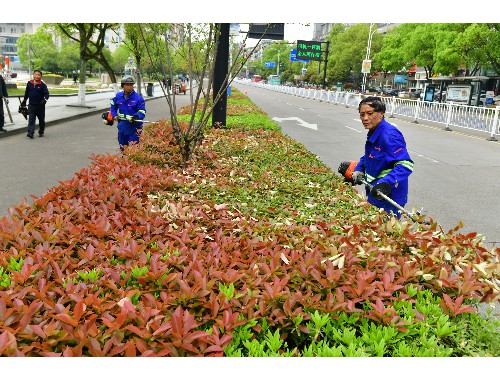 泰安芳顺绿化工程有限公司