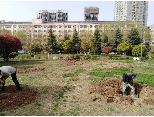 沭阳川禾园林绿化工程